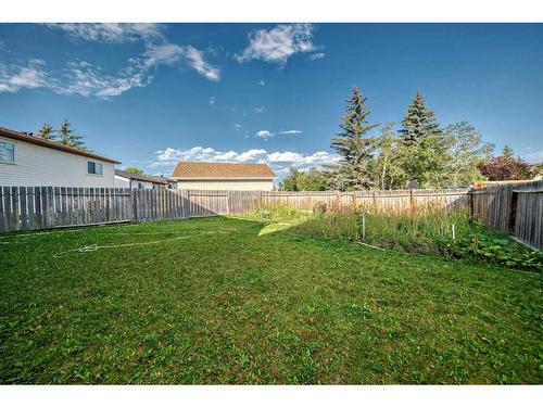 20 Castlebrook Road Ne, Calgary, AB - Outdoor With Backyard