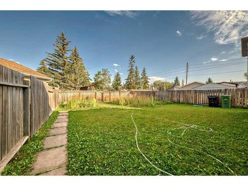 20 Castlebrook Road Ne, Calgary, AB - Outdoor With Backyard