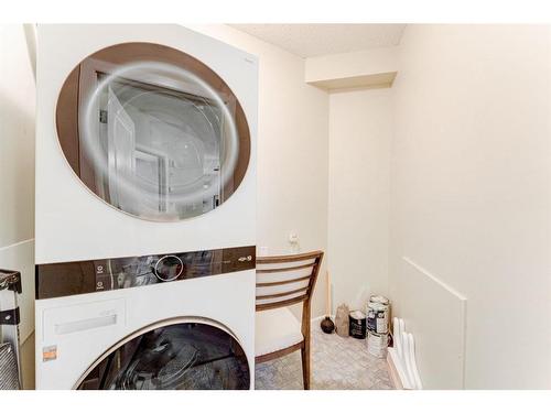 309-1800 14A Street Sw, Calgary, AB - Indoor Photo Showing Laundry Room