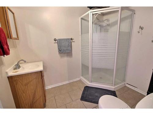 475044 Rge Rd 53 Road, Vermilion, AB - Indoor Photo Showing Bathroom