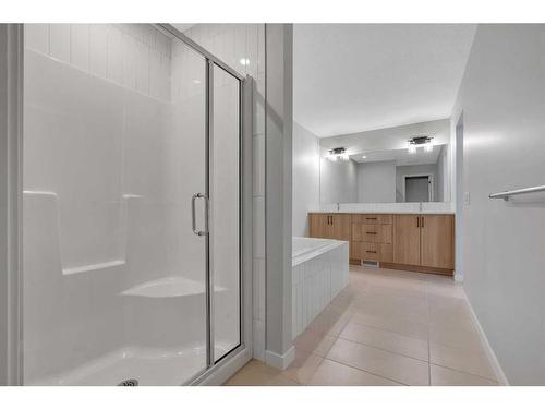 42 Savoy Landing Se, Calgary, AB - Indoor Photo Showing Bathroom