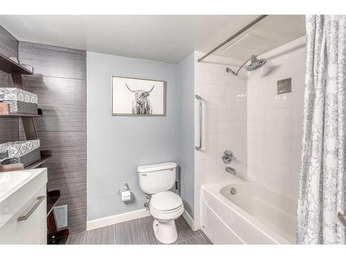 302-1309 14 Avenue Sw, Calgary, AB - Indoor Photo Showing Bathroom