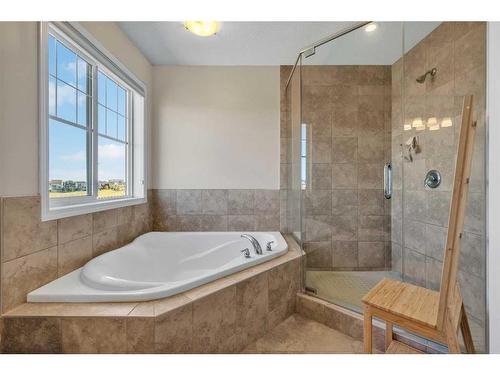 223 Cityscape Gardens Ne, Calgary, AB - Indoor Photo Showing Bathroom