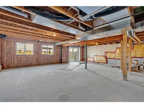 223 Cityscape Gardens Ne, Calgary, AB - Indoor Photo Showing Basement