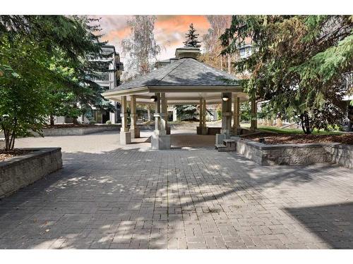 # 202-35 Richard Court Sw, Calgary, AB - Outdoor