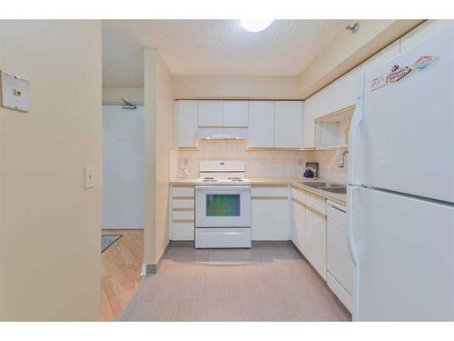 502-128 2 Avenue Se, Calgary, AB - Indoor Photo Showing Kitchen With Double Sink