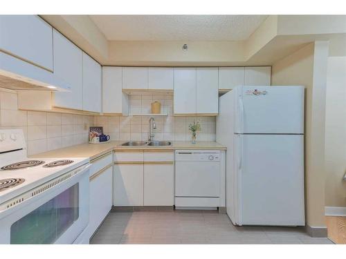 502-128 2 Avenue Se, Calgary, AB - Indoor Photo Showing Kitchen With Double Sink