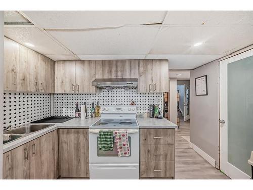 27 Castlebrook Court Ne, Calgary, AB - Indoor Photo Showing Kitchen With Double Sink