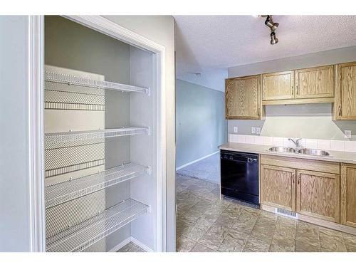 146 Saddlebrook Point Ne, Calgary, AB - Indoor Photo Showing Kitchen With Double Sink