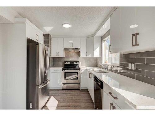 17 Castleglen Road Ne, Calgary, AB - Indoor Photo Showing Kitchen With Double Sink With Upgraded Kitchen