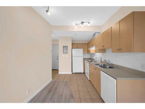 514-1053 10 Street Sw, Calgary, AB - Indoor Photo Showing Kitchen With Double Sink