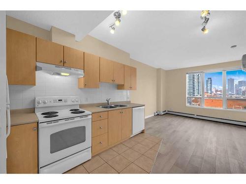 514-1053 10 Street Sw, Calgary, AB - Indoor Photo Showing Kitchen With Double Sink