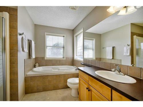 199 Chapman Circle Se, Calgary, AB - Indoor Photo Showing Bathroom