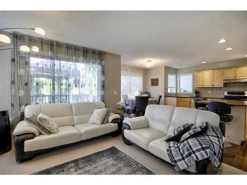 199 Chapman Circle Se, Calgary, AB - Indoor Photo Showing Living Room