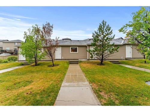 428 Rainbow Falls Drive, Chestermere, AB - Outdoor