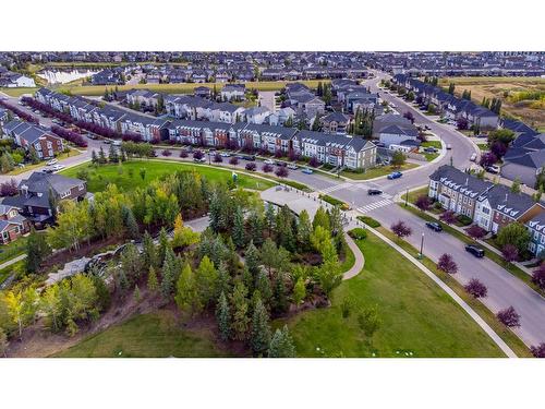 428 Rainbow Falls Drive, Chestermere, AB - Outdoor With View