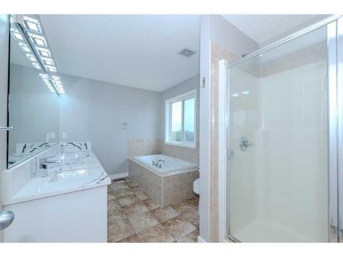 434 Coopers Drive Sw, Airdrie, AB - Indoor Photo Showing Bathroom