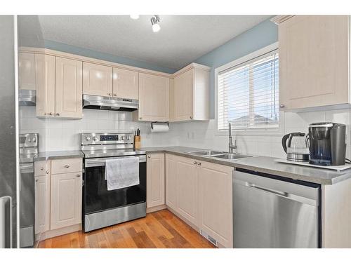 138 Bridleridge Circle Sw, Calgary, AB - Indoor Photo Showing Kitchen With Double Sink