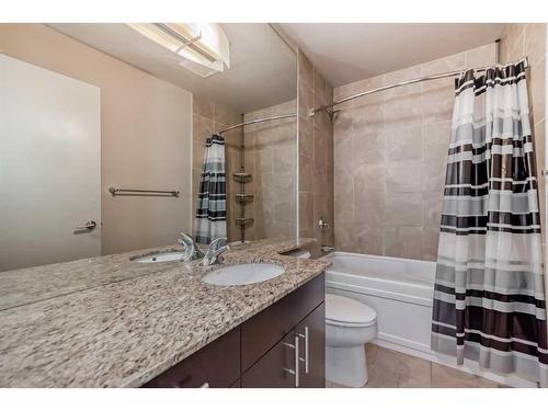 209-8710 Horton Road Sw, Calgary, AB - Indoor Photo Showing Bathroom