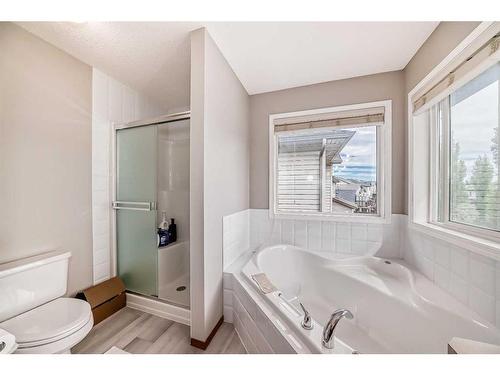 20 Panatella Drive Nw, Calgary, AB - Indoor Photo Showing Bathroom