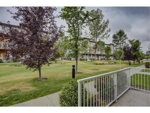 60-111 Rainbow Falls Gate, Chestermere, AB - Outdoor