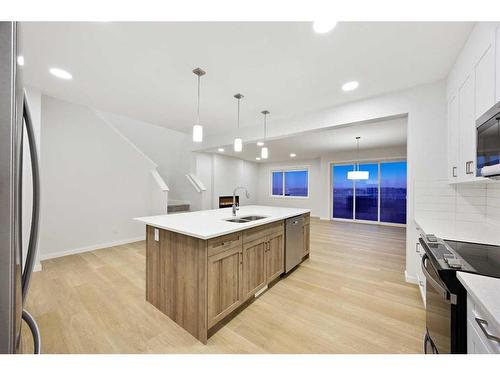 907 Langholm Drive Se, Airdrie, AB - Indoor Photo Showing Kitchen With Double Sink With Upgraded Kitchen