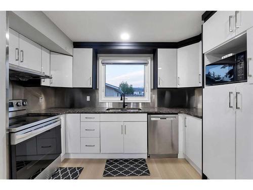 251 Rundlecairn Road Ne, Calgary, AB - Indoor Photo Showing Kitchen With Double Sink