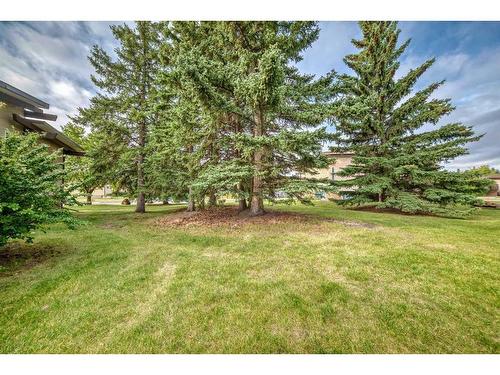 4968 Rundlewood Drive Ne, Calgary, AB - Outdoor