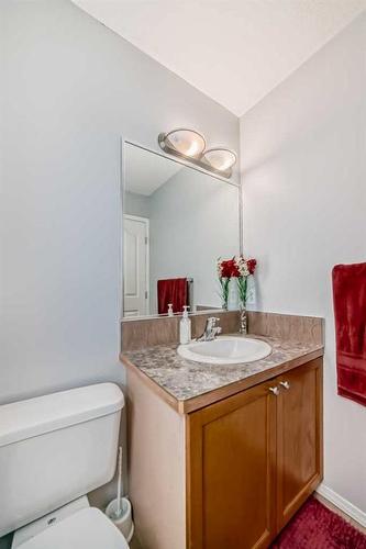 332 Taralake Terrace Ne, Calgary, AB - Indoor Photo Showing Bathroom