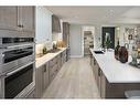 201-190 Marina Cove Se, Calgary, AB  - Indoor Photo Showing Kitchen With Upgraded Kitchen 