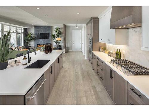 201-190 Marina Cove Se, Calgary, AB - Indoor Photo Showing Kitchen With Upgraded Kitchen