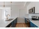 290 Seton Passage Se, Calgary, AB  - Indoor Photo Showing Kitchen With Double Sink With Upgraded Kitchen 