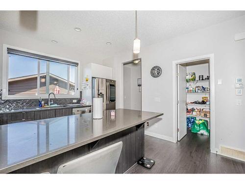 156 Cornerstone Passage Ne, Calgary, AB - Indoor Photo Showing Kitchen With Double Sink With Upgraded Kitchen