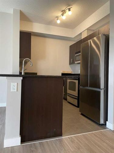 202-3950 46 Avenue Nw, Calgary, AB - Indoor Photo Showing Kitchen With Stainless Steel Kitchen