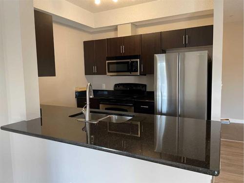 202-3950 46 Avenue Nw, Calgary, AB - Indoor Photo Showing Kitchen With Stainless Steel Kitchen With Double Sink