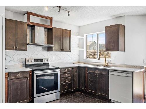 210 Saratoga Close Ne, Calgary, AB - Indoor Photo Showing Kitchen With Double Sink