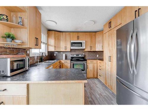 2408 56 Street Ne, Calgary, AB - Indoor Photo Showing Kitchen With Double Sink