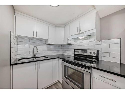 51 Doverville Way Se, Calgary, AB - Indoor Photo Showing Kitchen With Stainless Steel Kitchen With Double Sink