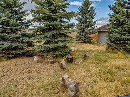 370120 176 Street West, Rural Foothills County, AB - Outdoor