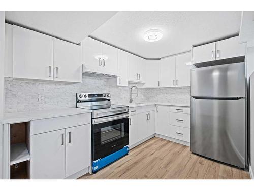 4415 Marlborough Drive Ne, Calgary, AB - Indoor Photo Showing Kitchen With Upgraded Kitchen