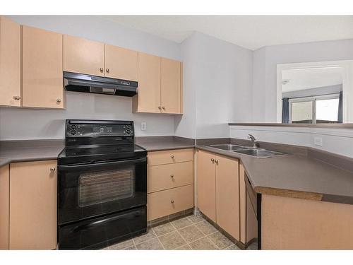 4114-4975 130 Avenue Se, Calgary, AB - Indoor Photo Showing Kitchen With Double Sink