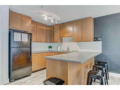 254-35 Richard Court Sw, Calgary, AB - Indoor Photo Showing Kitchen With Double Sink