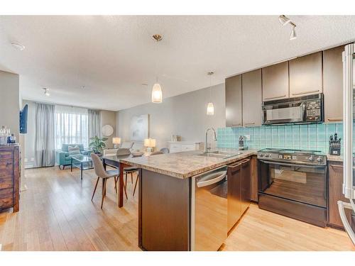 254-35 Richard Court Sw, Calgary, AB - Indoor Photo Showing Kitchen With Upgraded Kitchen