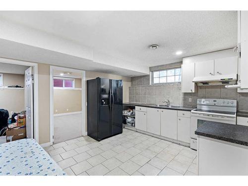 295 Saddlemead Road Ne, Calgary, AB - Indoor Photo Showing Kitchen With Double Sink