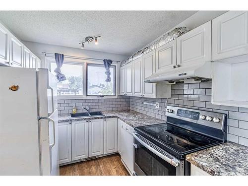 939 Pinecliff Drive Ne, Calgary, AB - Indoor Photo Showing Kitchen With Double Sink With Upgraded Kitchen