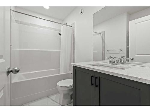 443 Livingston Way Ne, Calgary, AB - Indoor Photo Showing Bathroom