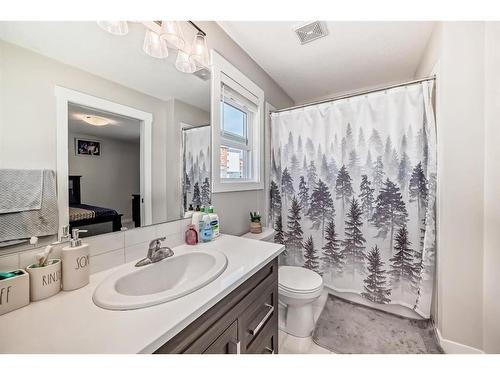 146 Skyview Circle Ne, Calgary, AB - Indoor Photo Showing Bathroom