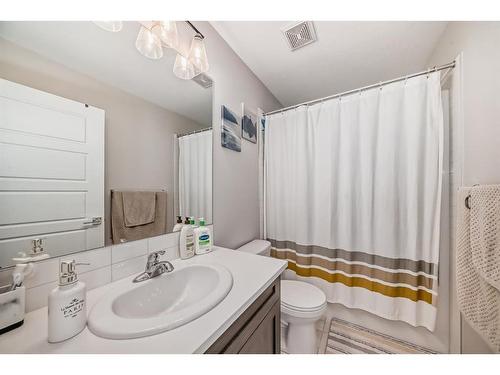 146 Skyview Circle Ne, Calgary, AB - Indoor Photo Showing Bathroom