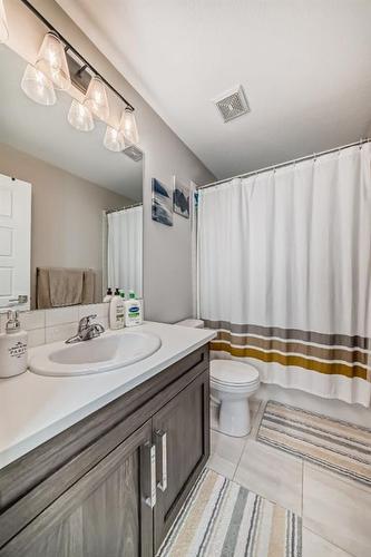 146 Skyview Circle Ne, Calgary, AB - Indoor Photo Showing Bathroom