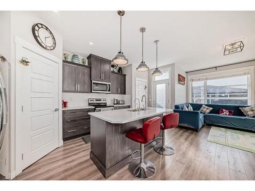 146 Skyview Circle Ne, Calgary, AB - Indoor Photo Showing Kitchen With Double Sink With Upgraded Kitchen